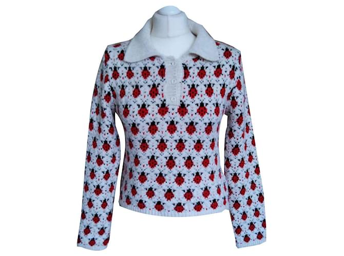 Zara coccinella Crudo