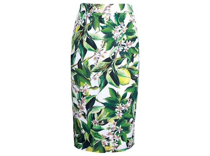 Gonna midi floreale Dolce & Gabbana in viscosa bianca