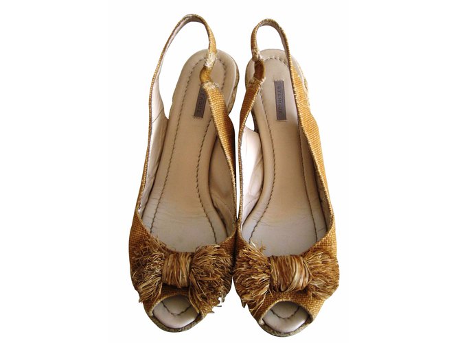 Uterque Muli cuneo Paglia