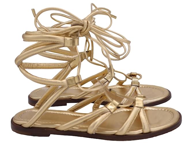 Sandali piatti con lacci Vesta in pelle metallica dorata di Gianvito Rossi D'oro Metallico