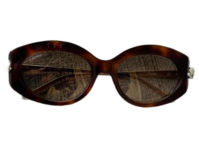 Occhiali da sole Cartier Havana Oro/Marrone CT0213S 002 Gold hardware