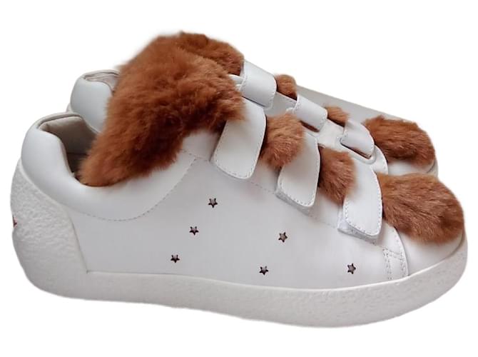 Ash Velcro Marrone Bianco