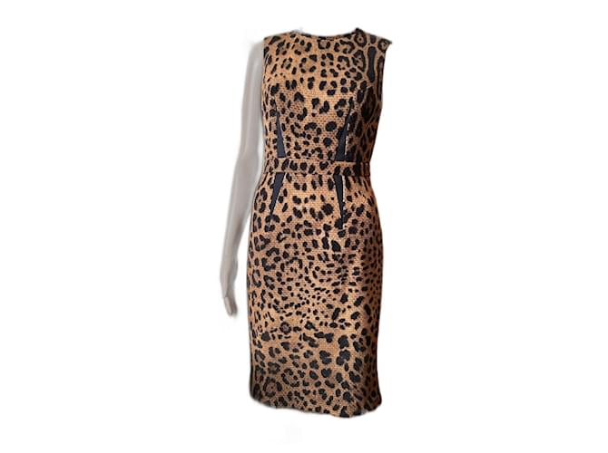 Roberto Cavalli Vestiti Marrone