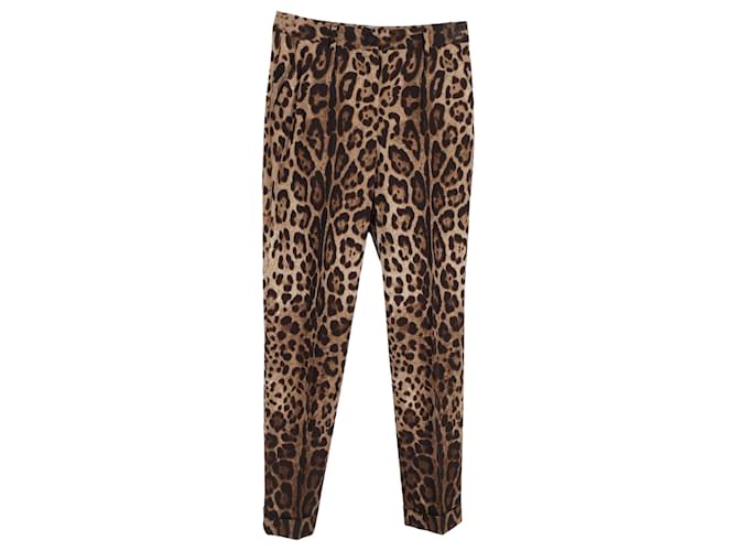 Pantaloni slim in cotone con stampa animale Dolce & Gabbana Stampa python
