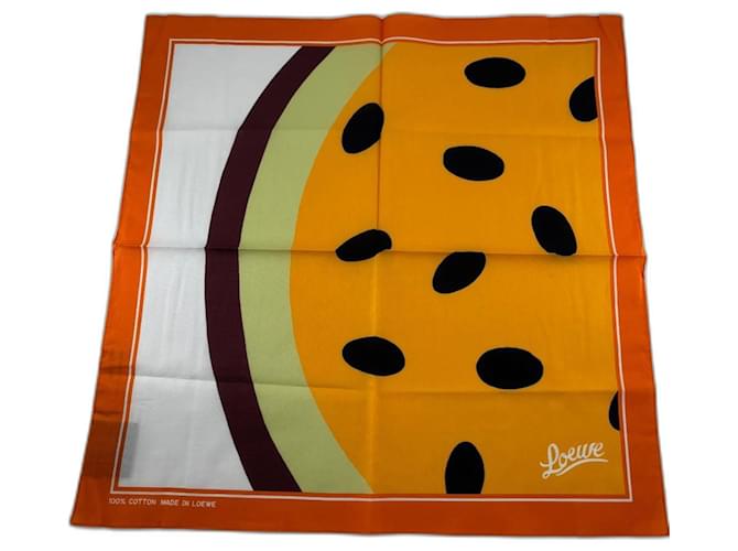 Sciarpa Loewe Multicolore