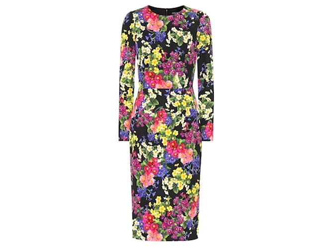 Abito a tubino con stampa Wild Rose di Dolce & Gabbana Multicolore